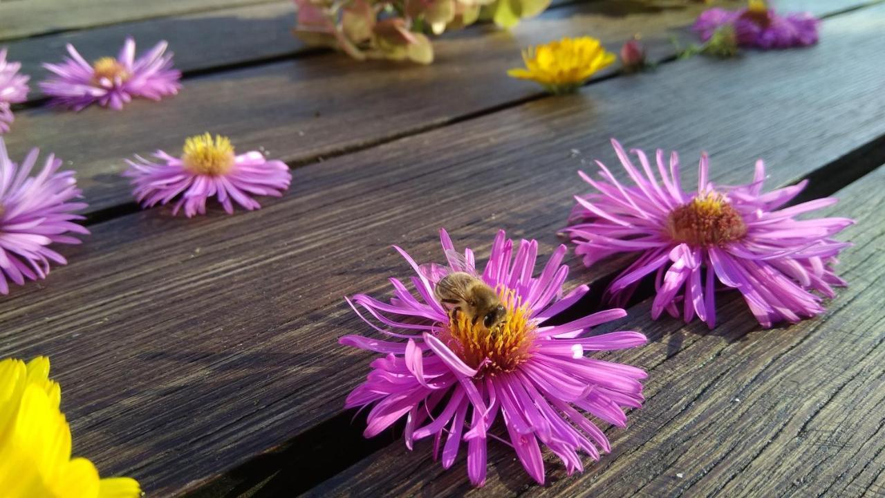 Haus Flora Am Kaiser Niederndorf  Dış mekan fotoğraf
