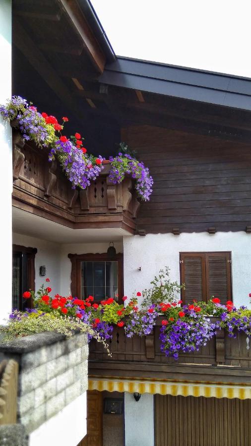 Haus Flora Am Kaiser Niederndorf  Dış mekan fotoğraf