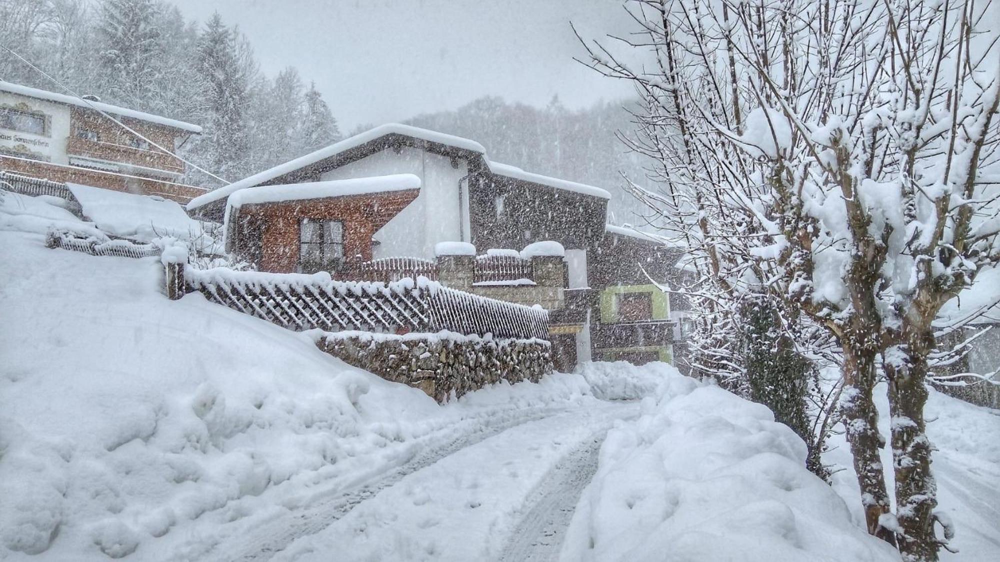 Haus Flora Am Kaiser Niederndorf  Dış mekan fotoğraf