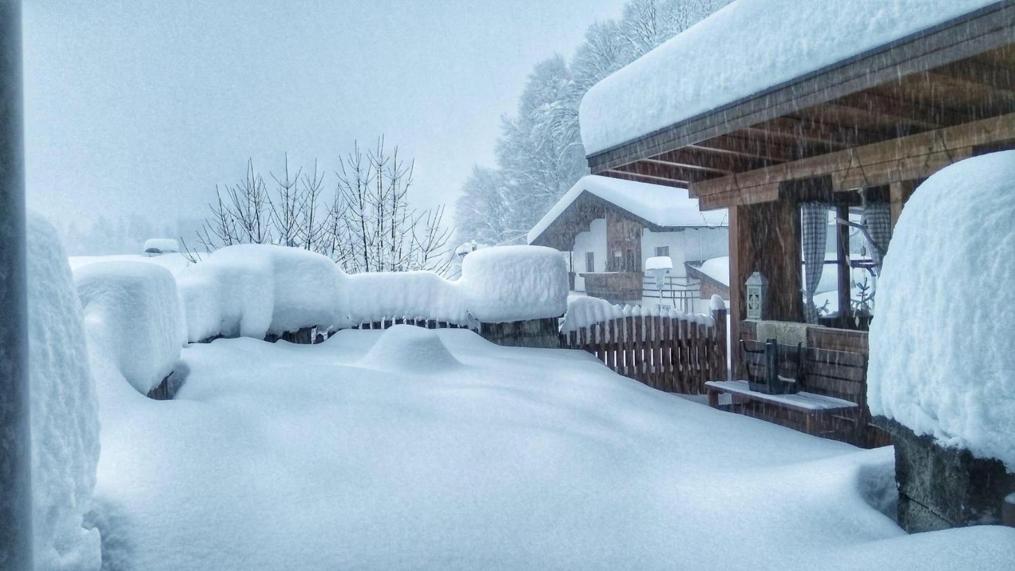 Haus Flora Am Kaiser Niederndorf  Dış mekan fotoğraf